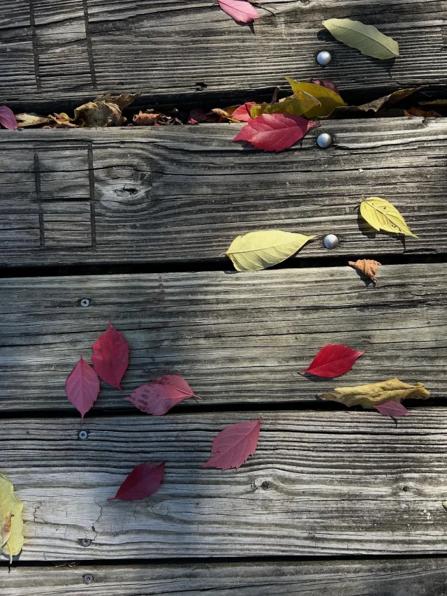 MKC docks 🍁💙☀️
•
#MKC #milwaukeekayak #milwaukeeriver #milwaukeekayakcompany #milwaukeekayakcompanytours	
#takemetotheriver #visitmilwaukee #teammkc #wisconsin #kayaking #milwaukee #discoverwisconsin #puravida #bemine #wearit #summer #jerrysdocks #river #tellmeallyourdreams #fall