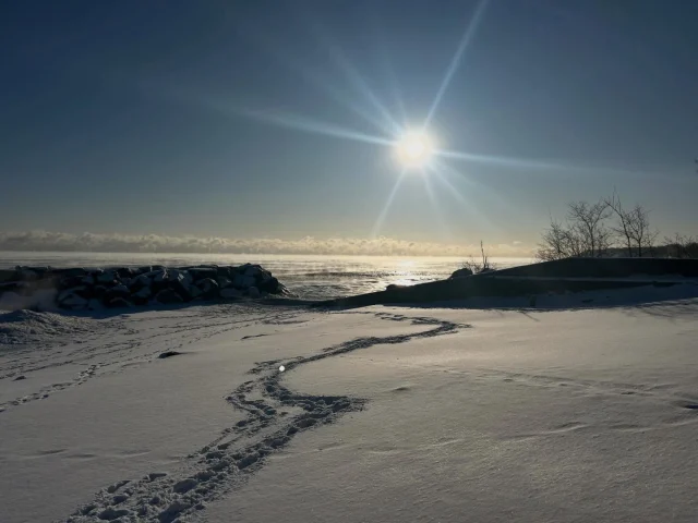 Attached to nothing, connected to everything ❄️🤍 See you in Spring for another fun season of kayaking MKE 🚣🏼‍♀️
•
#MKC #milwaukeekayak #milwaukeeriver #lakemichigan #milwaukeekayakcompany milwaukeekayakcompanytours	
takemetotheriver visitmilwaukee teammkc wisconsin kayaking milwaukee discoverwisconsin puravida bemine wearit summer jerrysdocks river tellmeallyourdreams goodvibesonly