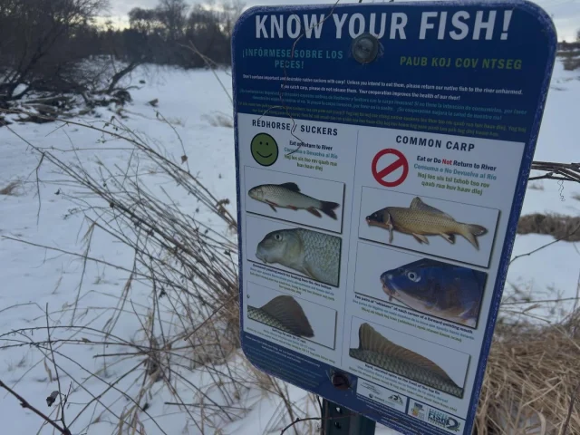 TGiF! Winter steps to the river ❄️🤍
•
#MKC #milwaukeekayak #milwaukeeriver #milwaukeekayakcompany#milwaukee takemetotheriver milwaukeekayakcompanytours	
visitmilwaukee teammkc wisconsin kayaking milwaukee discoverwisconsin puravida bemine wearit summer jerrysdocks river tellmeallyourdreams goodvibesonly
