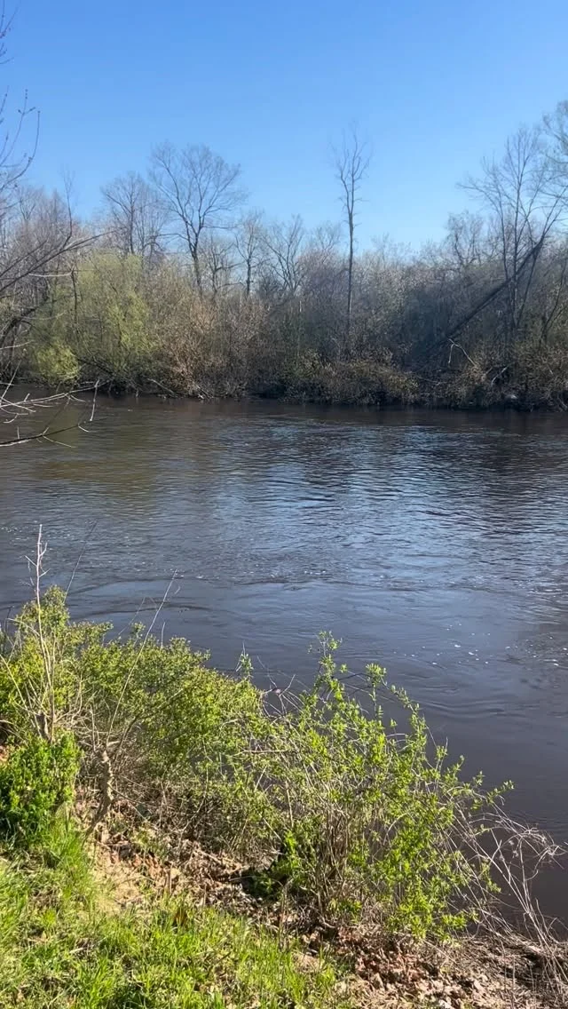 Earth Day hike up and down river today. Pretty soon we’ll be on the river 🛶 Happy Earth Day 🌎 🤍
@milwaukeekayak #milwaukeekayak #milwaukee #takemetotheriver #earthdayeveryday #earthday